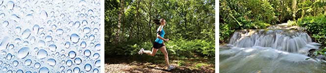 小(xiǎo)分(fēn)子(zǐ)團水(shuǐ)