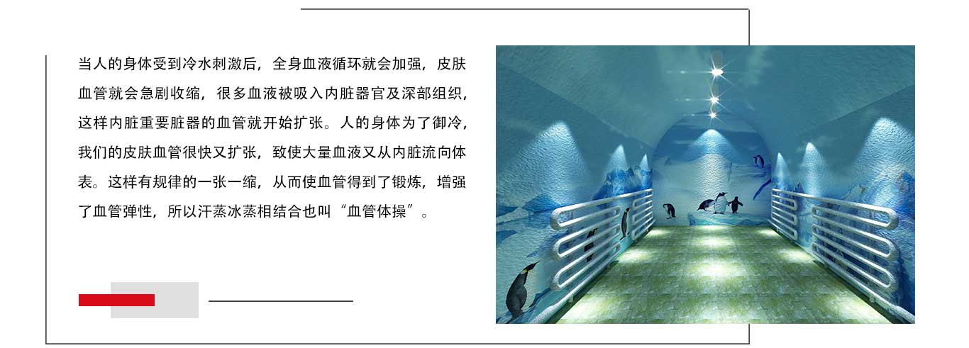 電(diàn)氣石汗蒸房(fáng)