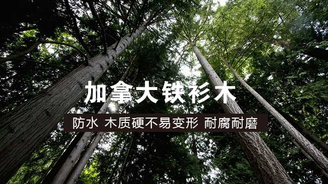 鐵(tiě)杉木(mù)材質